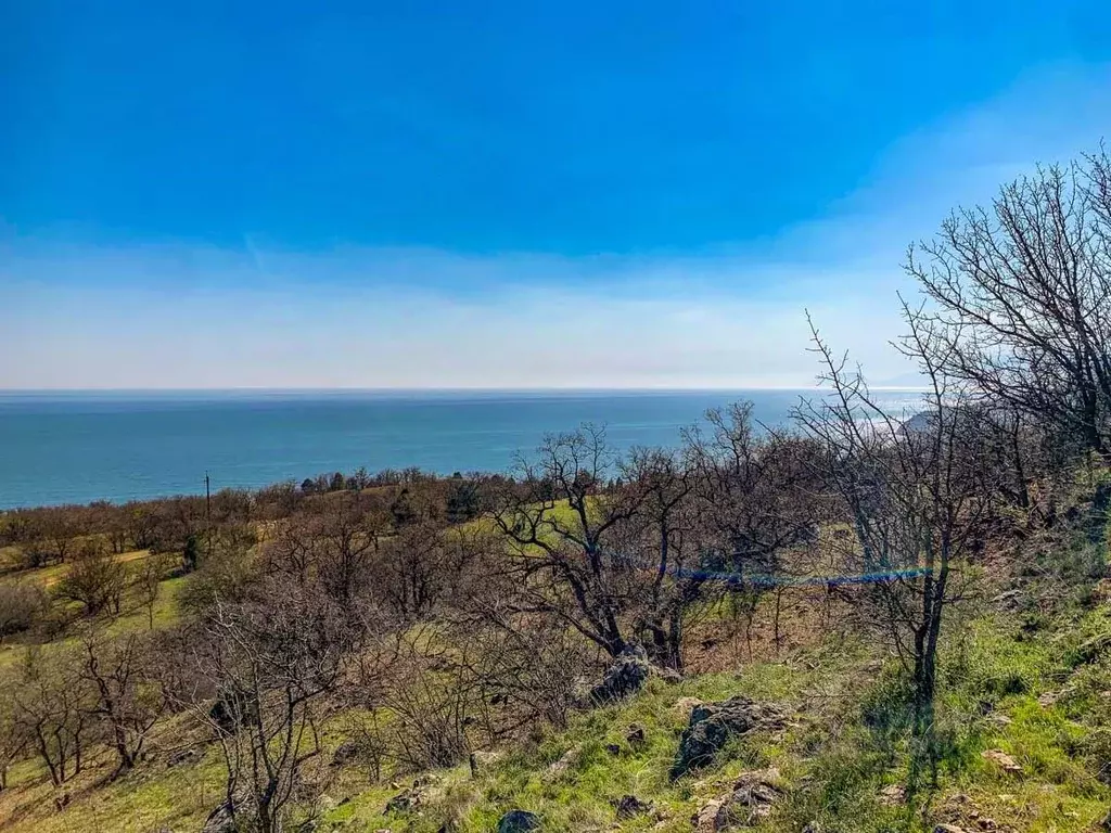 Участок в Крым, Алушта муниципальный округ, с. Приветное, Канакская ... - Фото 2