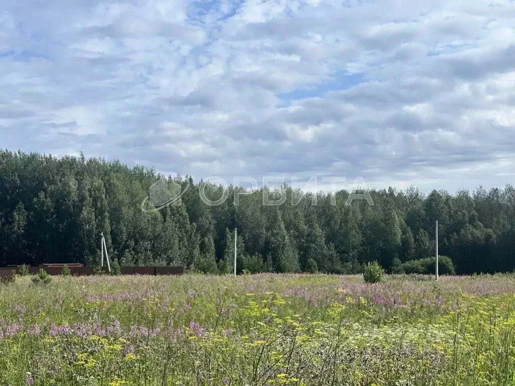 Участок в Тюменская область, Тюменский район, с. Кулига, Кулига-2 мкр  ... - Фото 0