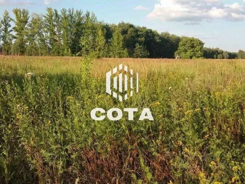 Участок в Воронежская область, Рамонский район, Горожанское с/пос, д. ... - Фото 1