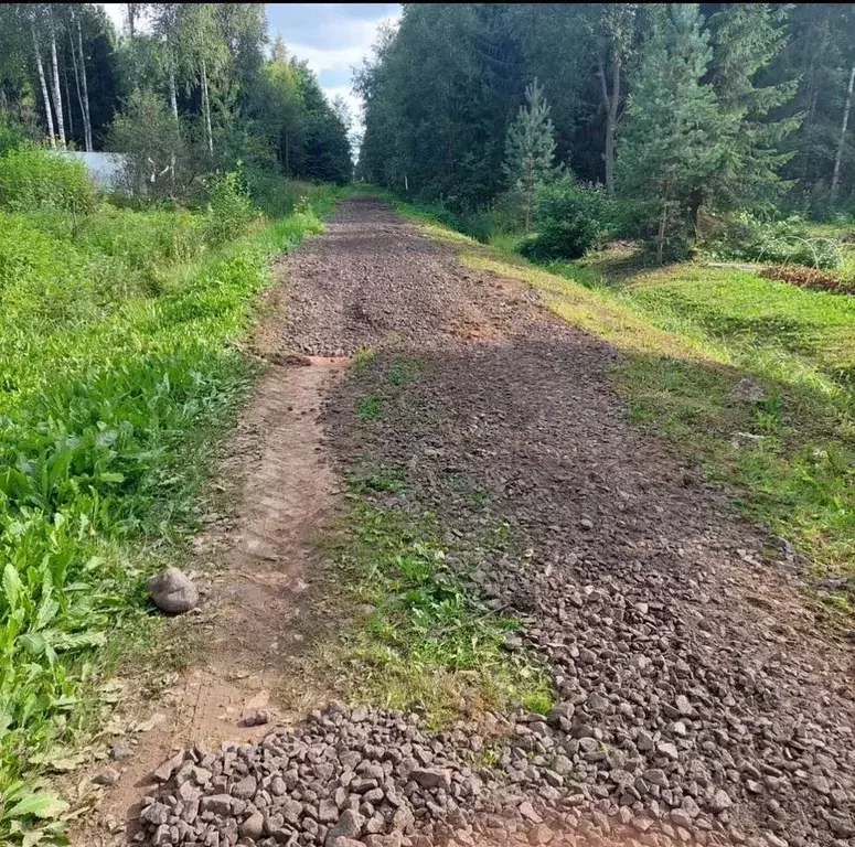 Участок в Ленинградская область, Волховский район, Кисельнинское ... - Фото 1
