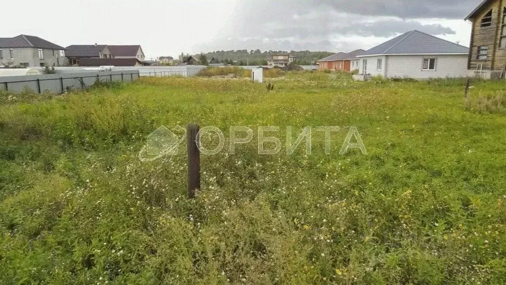 Участок в Тюменская область, Тюменский район, с. Чикча ул. Королева ... - Фото 1