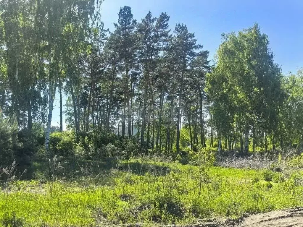 Участок в Алтайский край, Бийский район, с. Лесное Совхозная ул. (23.0 ... - Фото 1