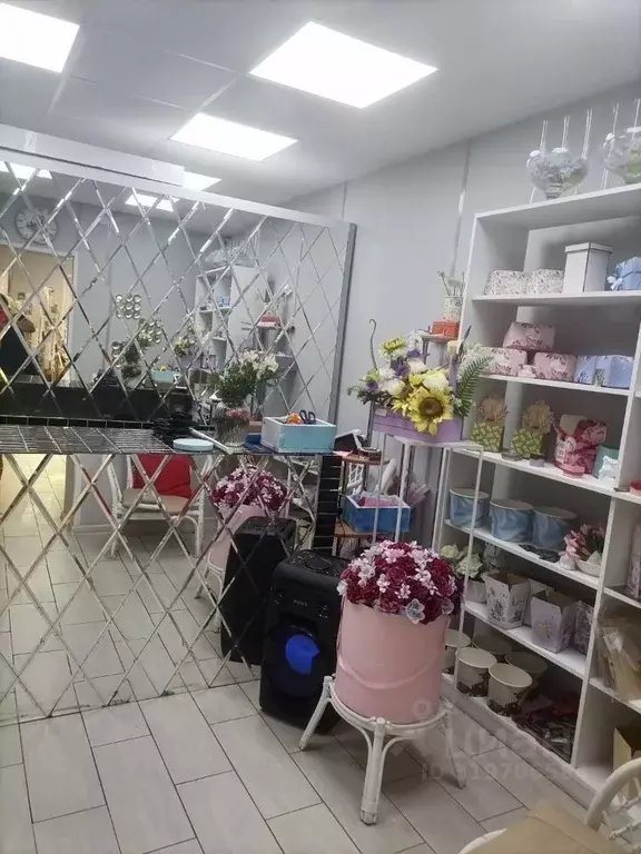 Помещение свободного назначения в Орловская область, Орел ул. МОПРа, ... - Фото 0