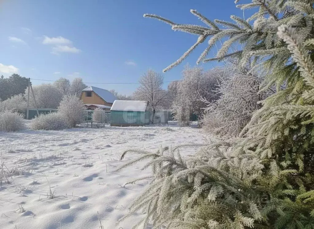 Участок в Смоленская область, Смоленск Декоративные Культуры ... - Фото 2