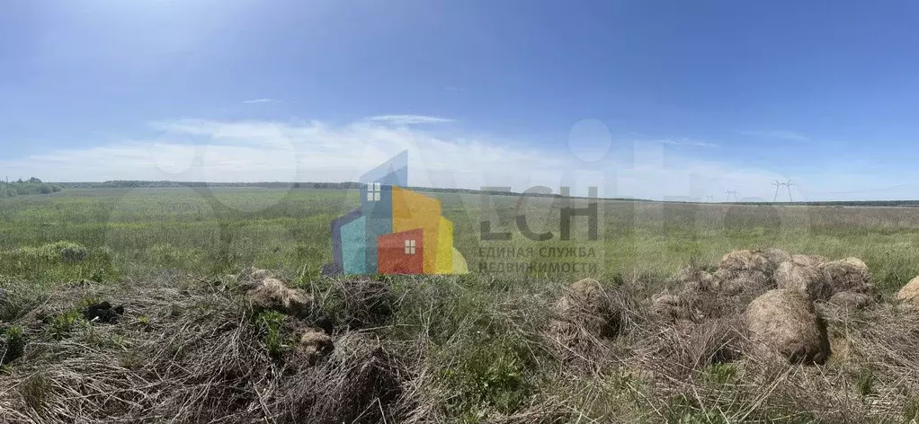 Участок 50 га (СНТ, ДНП) - Фото 1
