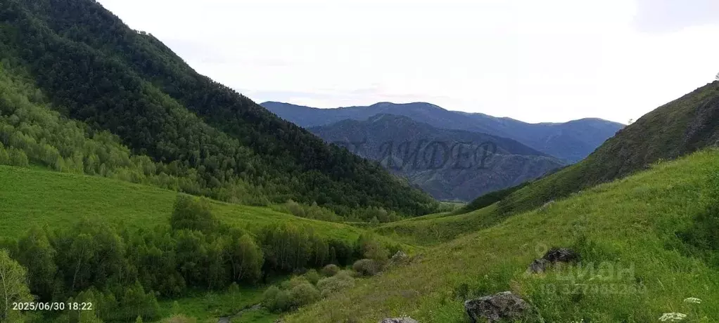 Участок в Алтай, Чемальский район, с. Куюс Центральная ул. (15.0 сот.) - Фото 1