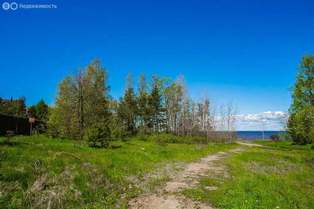Участок в Ломоносовский район, Лебяженское городское поселение, ... - Фото 0