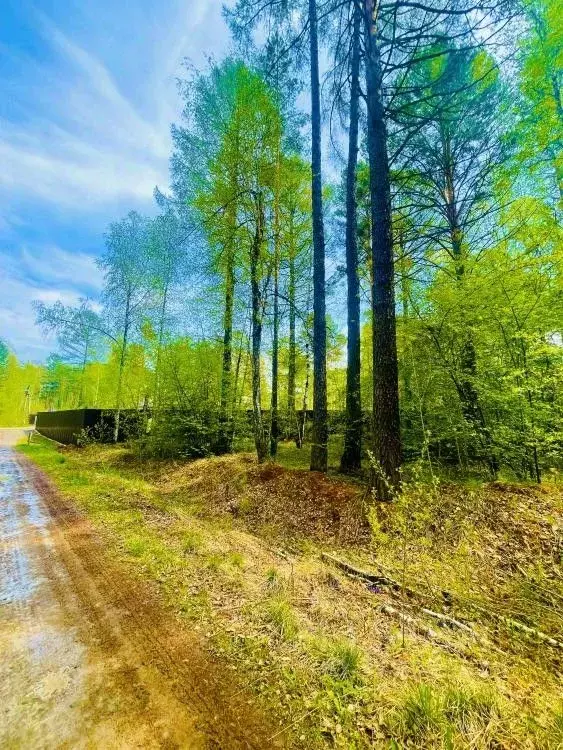 Участок в Иркутская область, Иркутск  (15.0 сот.) - Фото 2
