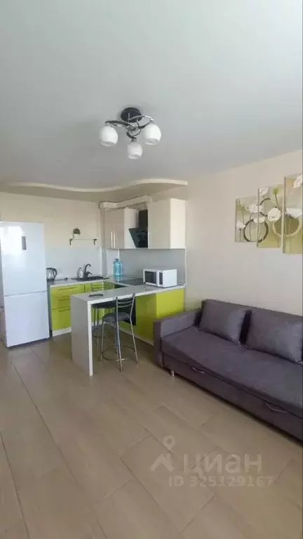 Студия Кировская область, Киров ул. Современная, 2 (24.0 м) - Фото 1