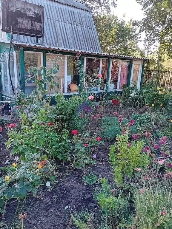 Дом в Ростовская область, Волгодонск Мичуринец СНТ, 1858 (30 м) - Фото 1