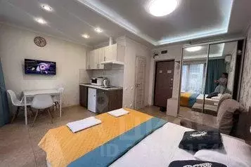 1-к кв. Краснодарский край, Сочи ул. Ленина, 219А/2 (23.0 м) - Фото 1