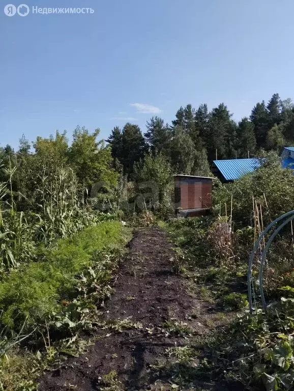 Дом в Горно-Алтайск, улица Макария Глухарева (53.4 м) - Фото 1