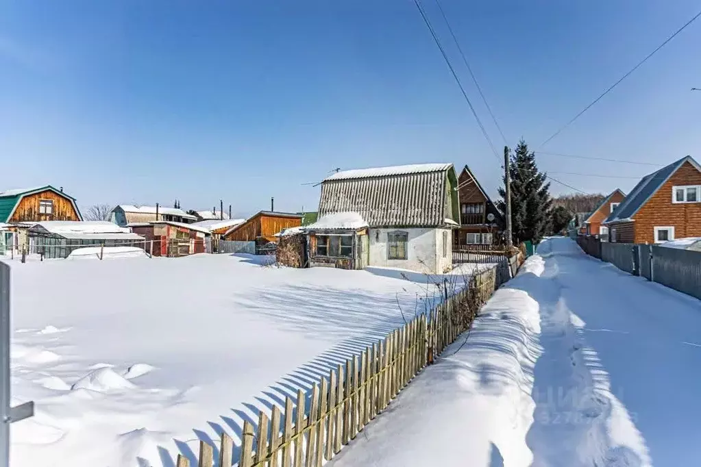 Участок в Новосибирская область, Бердск Приморский СНТ,  (3.9 сот.) - Фото 1