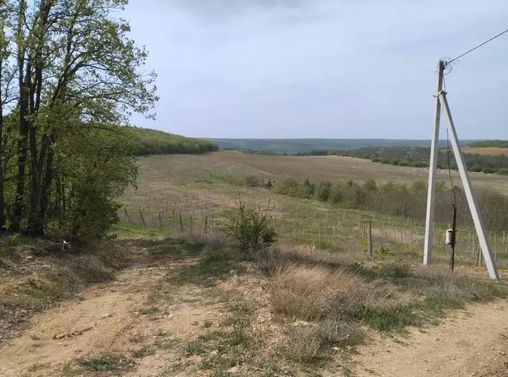 Участок в Севастополь с. Верхнесадовое, ул. Севастопольская, 1 (3.5 ... - Фото 1