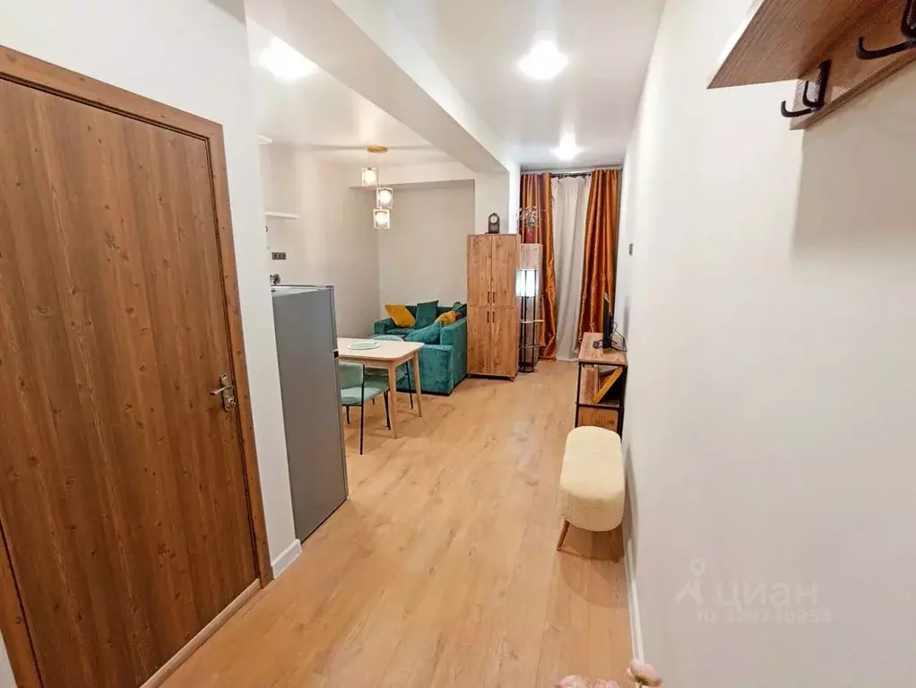 Студия Московская область, Подольск городской округ, д. Борисовка ... - Фото 1