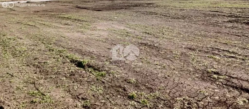 Участок в поселок Агролес, Прибрежная улица, 6 (13 м) - Фото 2