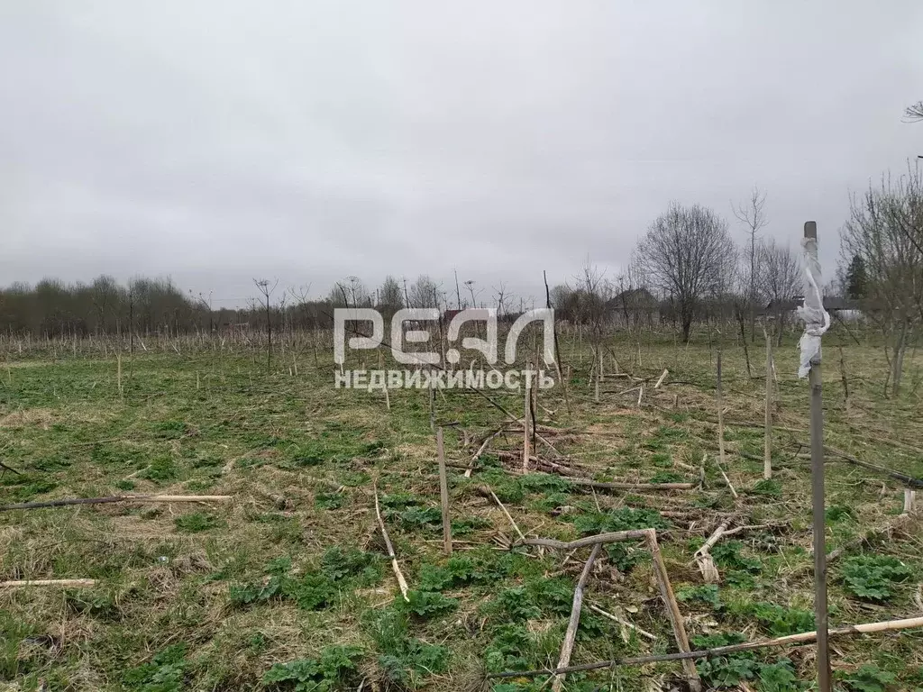 Участок в Ленинградская область, Волосовский район, Большеврудское ... - Фото 0