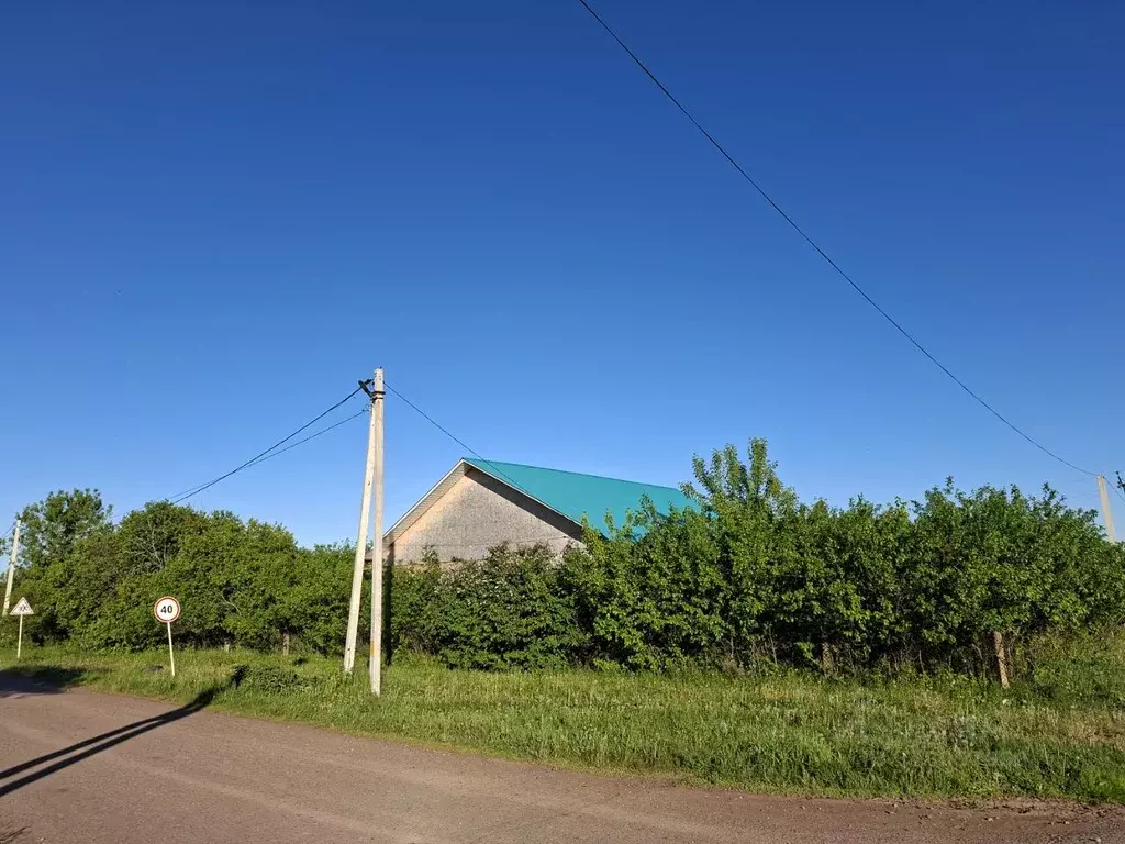 Участок в Башкортостан, Чишминский район, Чувалкиповский сельсовет, с. ... - Фото 0