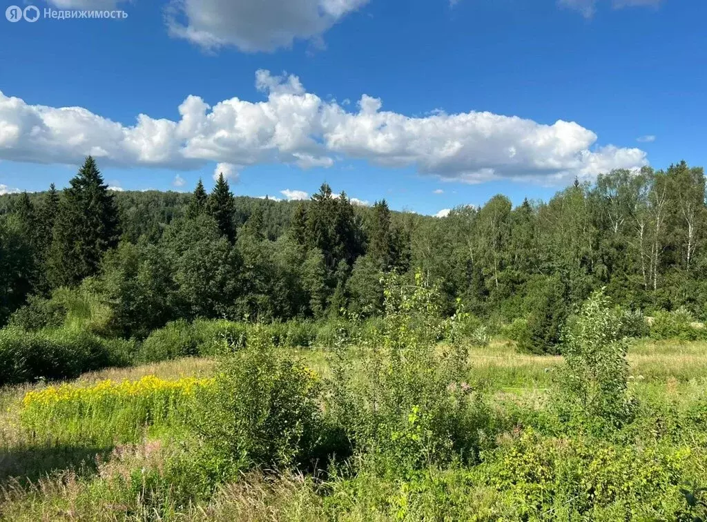 Участок в Московская область, Дмитровский муниципальный округ, КП ... - Фото 2