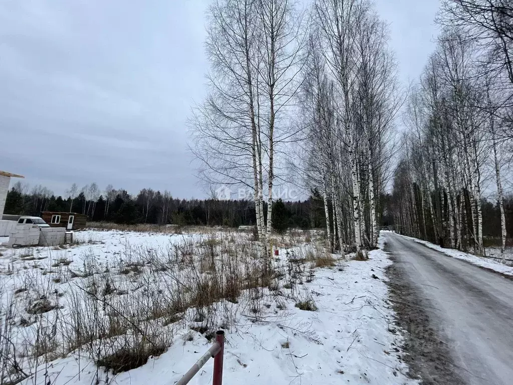 Участок в Владимирская область, Судогодский район, Лавровское ... - Фото 1