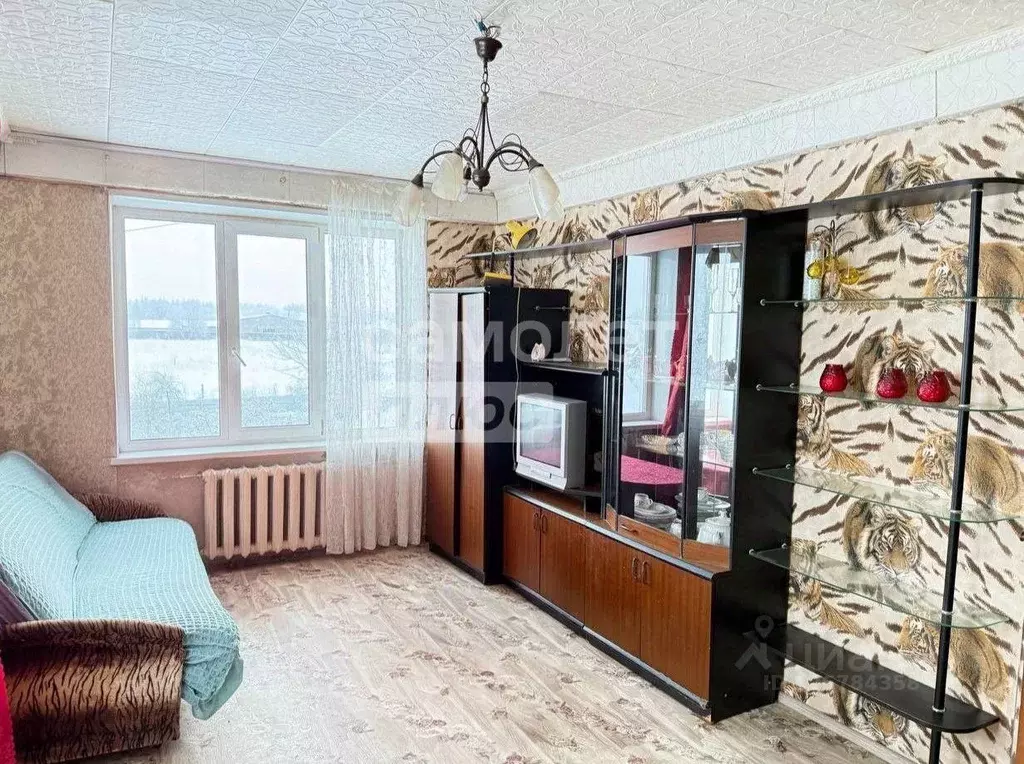 2-к кв. Ленинградская область, Волосовский район, Бегуницкое с/пос, ... - Фото 1