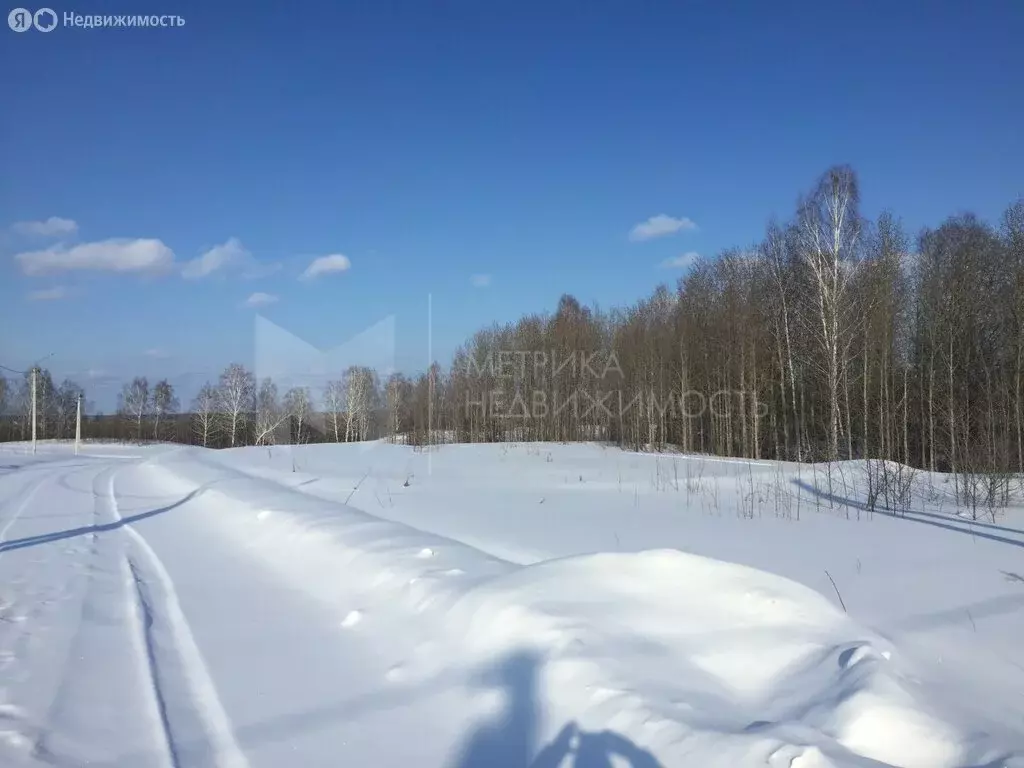 Участок в Тюменский район, село Гусево (12 м) - Фото 0