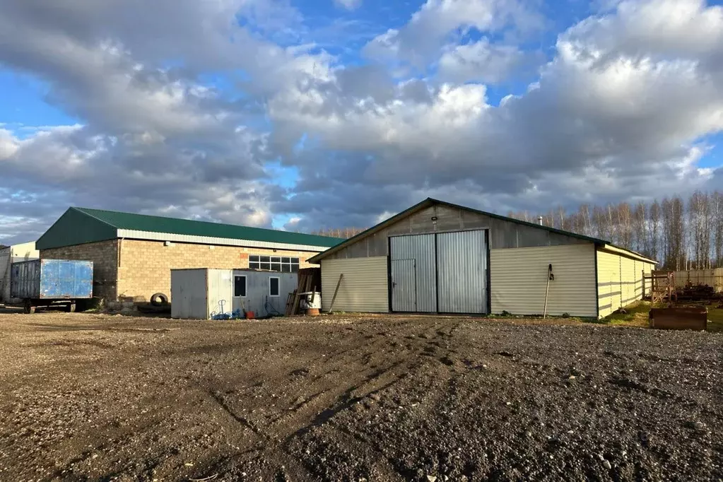Склад в Татарстан, Лаишевский район, с. Сокуры ул. Гаражная, 6 (1250 ... - Фото 2