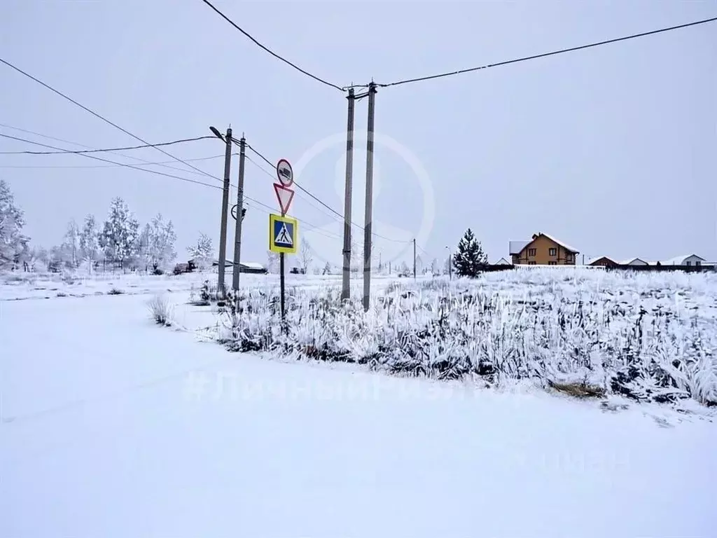 Участок в Рязанская область, Спасск-Рязанский ул. Спасская (10.0 сот.) - Фото 2