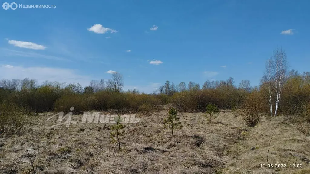 Участок в Покровское, улица Максима Горького, 56 (15 м) - Фото 0