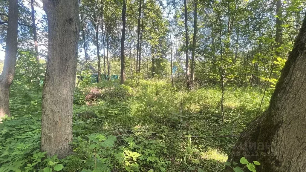 Участок в Московская область, Ступино городской округ, д. Никольская ... - Фото 0
