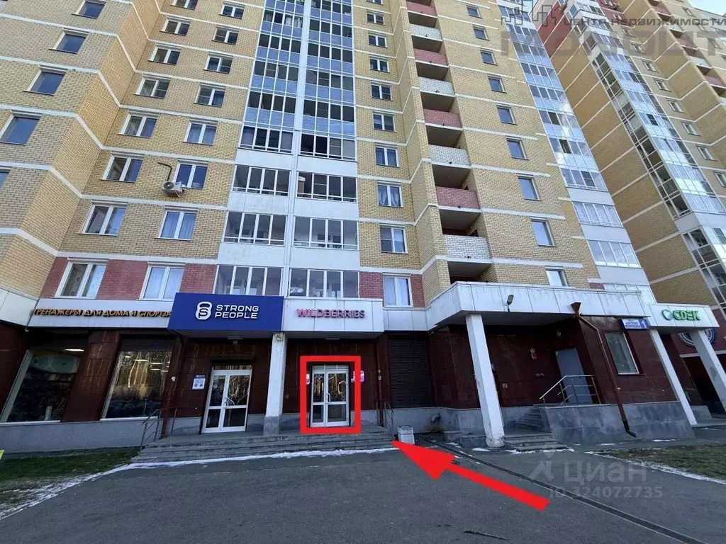 Торговая площадь в Свердловская область, Екатеринбург ул. Анатолия ... - Фото 1