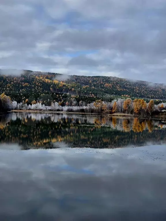 Участок 10 сот. (СНТ, ДНП) - Фото 1
