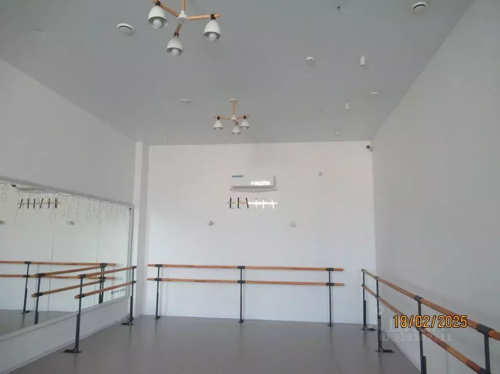 Офис в Новосибирская область, Новосибирск ул. Шевченко, 25 (81 м) - Фото 1