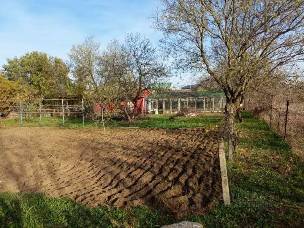 Участок в Краснодарский край, Темрюкский район, пос. Сенной ул. ... - Фото 2