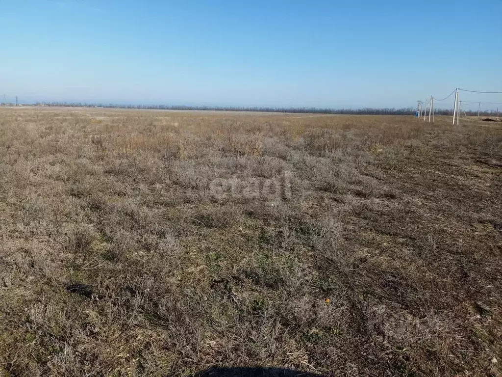 Участок в Краснодарский край, Ейский район, с. Кухаривка  (7.2 сот.) - Фото 1