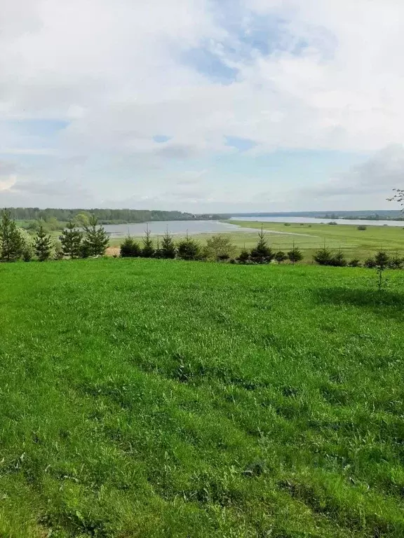 Участок в Новгородская область, Чудовский муниципальный район, ... - Фото 1