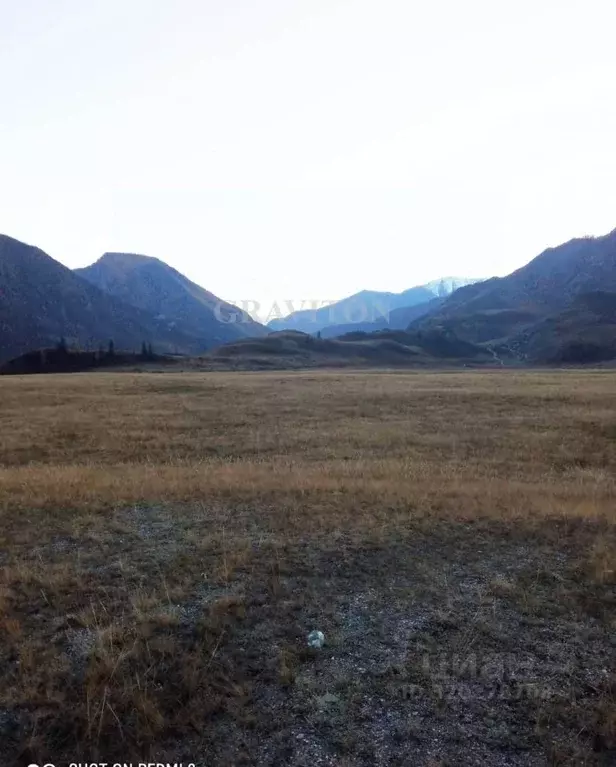 Участок в Алтай, Онгудайский район, с. Инегень Центральная ул., 15 ... - Фото 1