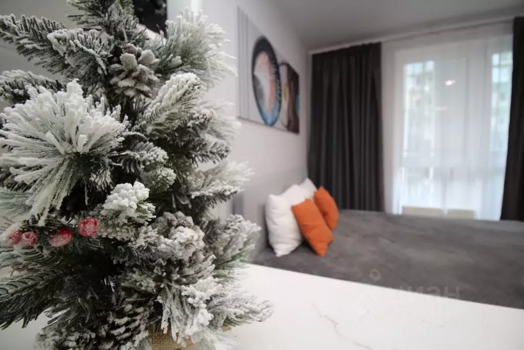 1-к кв. Краснодарский край, Сочи ул. Искры, 66/9к7 (22.0 м) - Фото 1