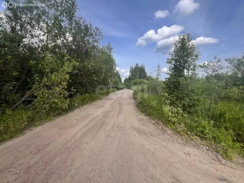 Участок в Красносельский район, Гридинское сельское поселение, деревня ... - Фото 0