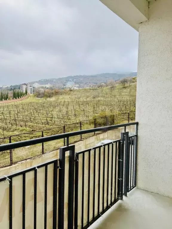 Студия Крым, Ялта муниципальный округ, Ливадия пгт ул. Виноградная, ... - Фото 2