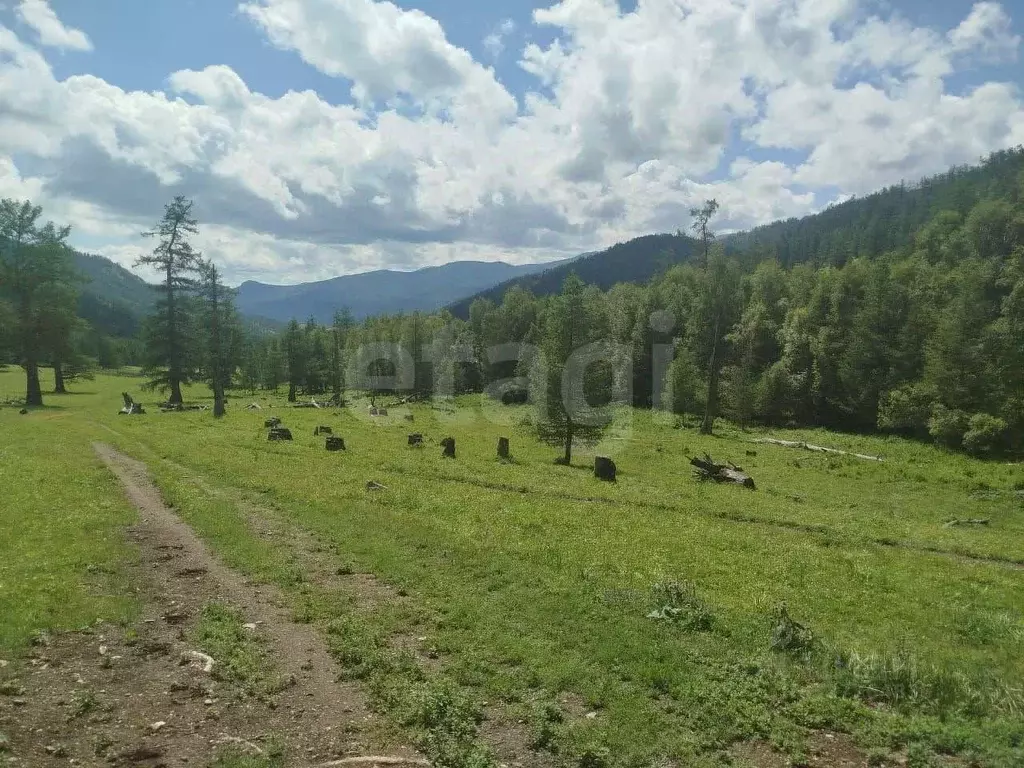 Участок в Алтай, Онгудайский район, с. Ело  (873.0 сот.) - Фото 1