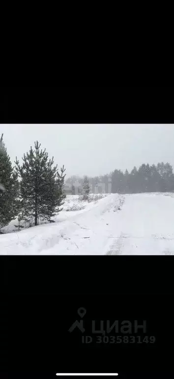 Дом в Кировская область, Слободской район, Шиховское с/пос, д. Шихово ... - Фото 1