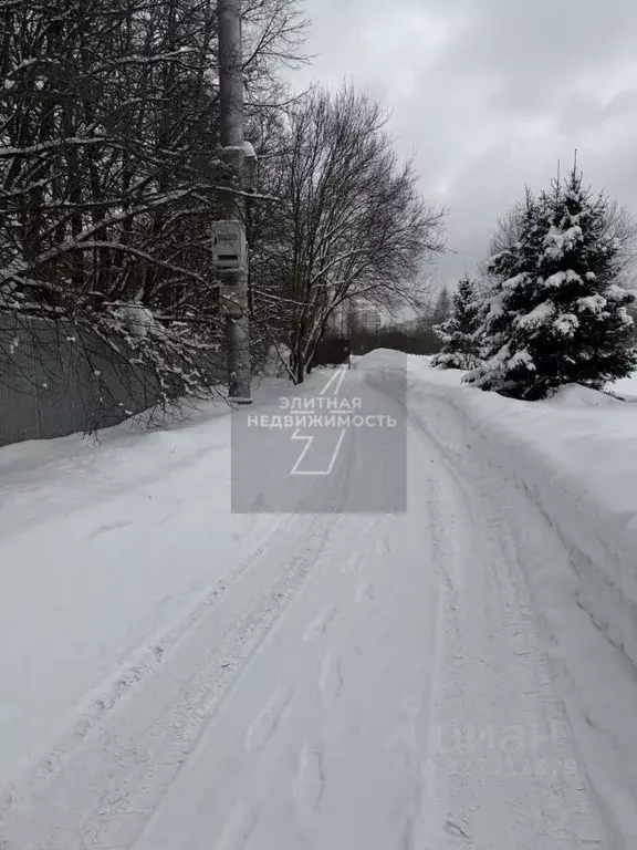 Участок в Московская область, Пушкинский городской округ, с. ... - Фото 1