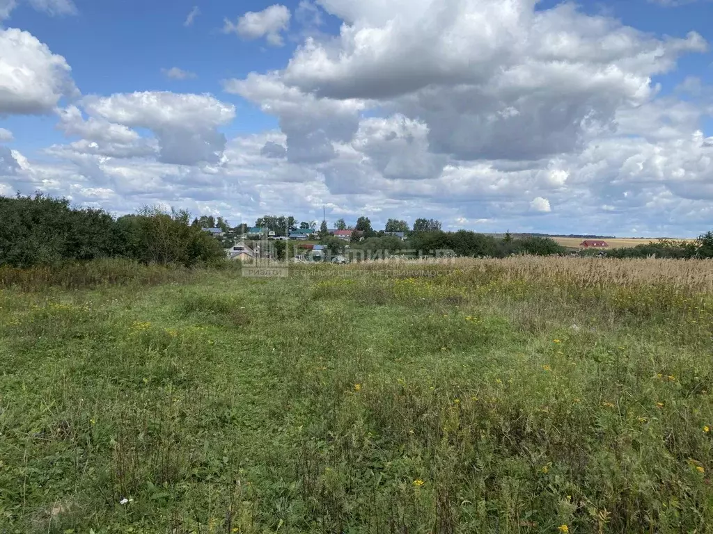 Участок в Владимирская область, Суздальский район, Новоалександровское ... - Фото 0