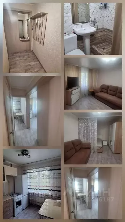 1-к кв. Алтайский край, Бийск ул. Александра Радищева, 4 (31.0 м) - Фото 2