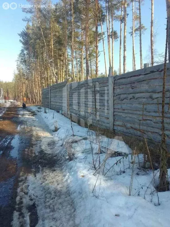 Дом в Рамонский район, Новоживотинновское сельское поселение, ... - Фото 2