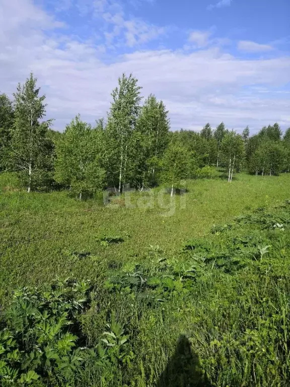 Участок в Кемеровская область, Кемеровский муниципальный округ, с. ... - Фото 0