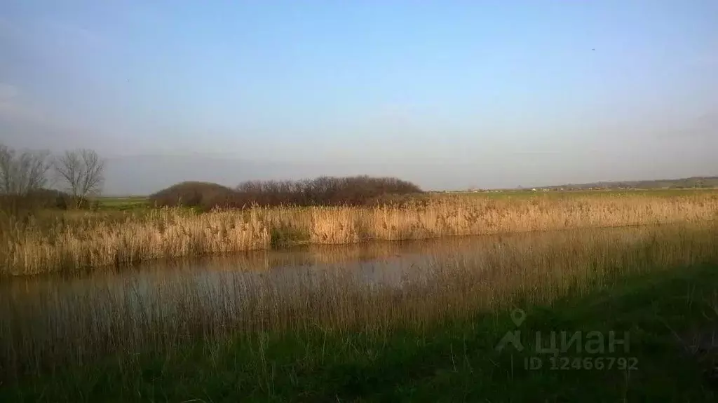 Дом в Ростовская область, Родионово-Несветайский район, Кутейниковское ... - Фото 0