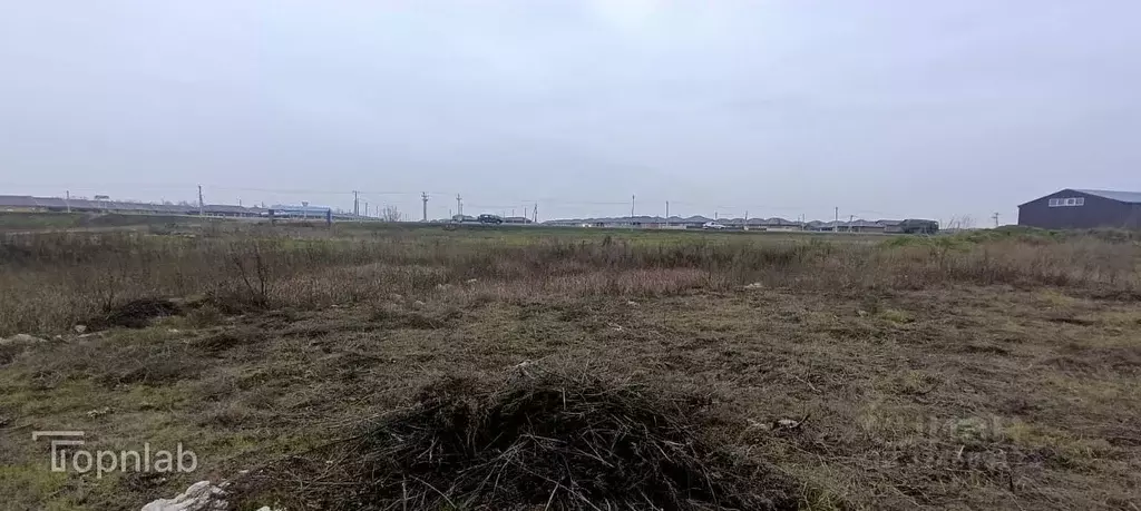 Склад в Ростовская область, Мясниковский район, Красный Крым хут. ул. ... - Фото 1