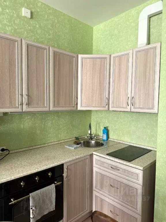 Студия Ленинградская область, Всеволожский район, Кузьмоловский пгт ... - Фото 2